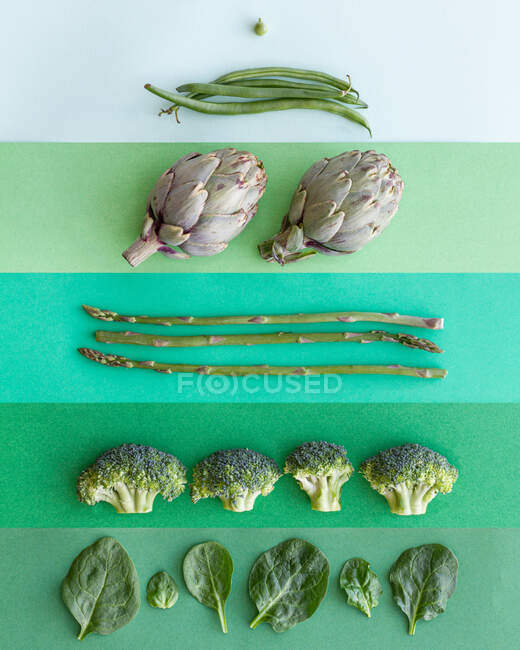 Nahaufnahme eines grünen Hintergrundes mit verschiedenen Gemüsesorten, die in Reihen angeordnet sind — Stockfoto