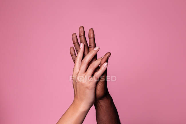 Manos multiétnicas de mujer blanca y hombre negro tocando palmas suavemente aisladas sobre fondo rosa; concepto de unidad e inclusión - foto de stock