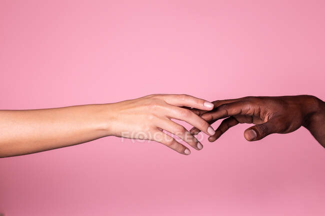 Vista dall'alto di mani multietniche di donna bianca e uomo nero che si toccano delicatamente isolate su sfondo rosa; concetto di unità e inclusione — Foto stock