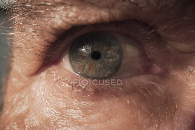 Macro vista de ojo marrón de persona anónima iluminado por la luz del sol mirando a la cámara - foto de stock