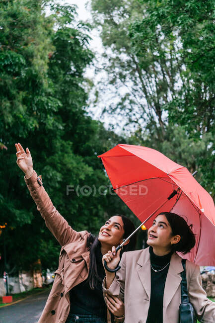 Mulheres étnicas felizes sorrindo e conversando enquanto caminham com guarda-chuva no parque no dia chuvoso — Fotografia de Stock