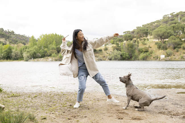 Все тело азиатки в повседневной одежде бросает палку, играя с послушной собакой на берегу реки в природе — стоковое фото