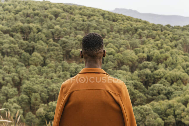 Назад погляд на задумливого афроамериканця в модний одяг, що стоїть за природою і милується краєвидом гірського лісу. — стокове фото