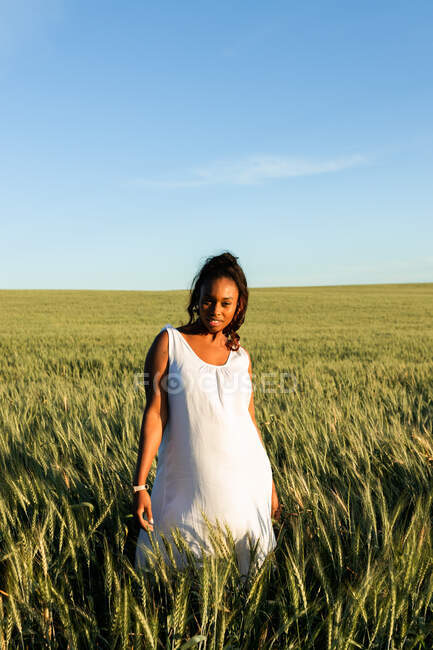 Lächelnde junge schwarze Dame in weißem Sommerkleid schlendert auf grünem Weizenfeld, während sie tagsüber unter blauem Himmel in die Kamera schaut — Stockfoto