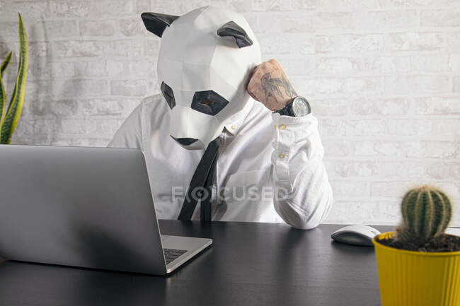 Anonymous tired male entrepreneur in panda bear mask and white shirt working at table with netbook in workspace — Stock Photo