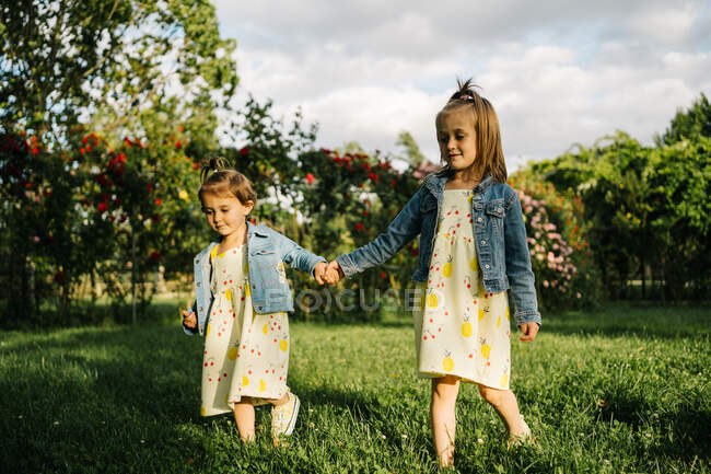 Mignonnes petites filles en robe et veste en denim debout sur l'herbe verte contre la floraison buisson avec des fleurs rouges dans le parc d'été tout en tenant la main — Photo de stock