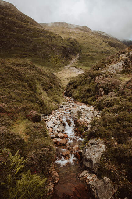 Pintoresca vista del agua burbujeante con rocas y helechos en el valle montañoso de Glencoe en Reino Unido en verano - foto de stock