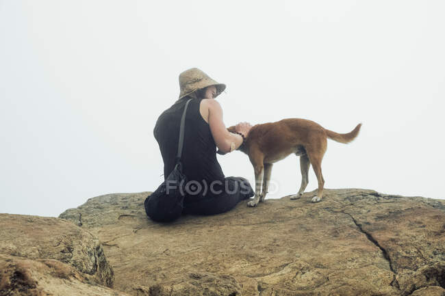 Rückansicht eines männlichen Entdeckers, der auf einem Felsen im Hochland sitzt und den niedlichen obdachlosen Hund vor nebligem Himmel streichelt — Stockfoto
