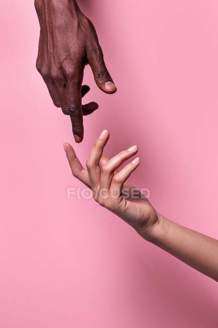 Manos opuestas de hombre afroamericano y mujer blanca apuntándose entre sí con el dedo índice aislado sobre fondo rosa - foto de stock