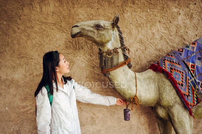 Vista lateral de una joven viajera de pie cerca de un camello con una silla de montar de colores contra una pared de piedra envejecida mientras visita Al Fahidi Historical Neighbourhood en Dubai - foto de stock