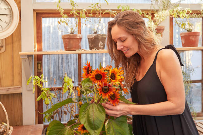 Fröhliche Gärtnerin steht im Sommer mit leuchtenden Sonnenblumen mit gelben und orangen Blütenblättern in Gewächshäusern — Stockfoto