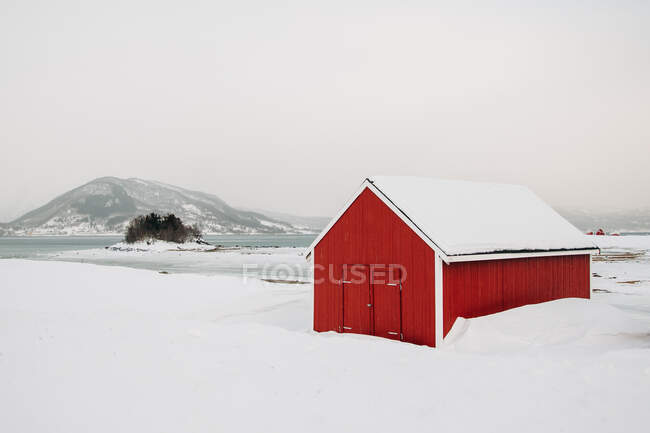 Красная хижина, расположенная на белом снежном побережье моря против облачного туманного неба на Лофотенских островах, Норвегия — стоковое фото
