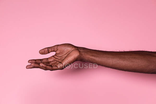 Hand of anonymous black man with palm upwards against pink background — Stock Photo