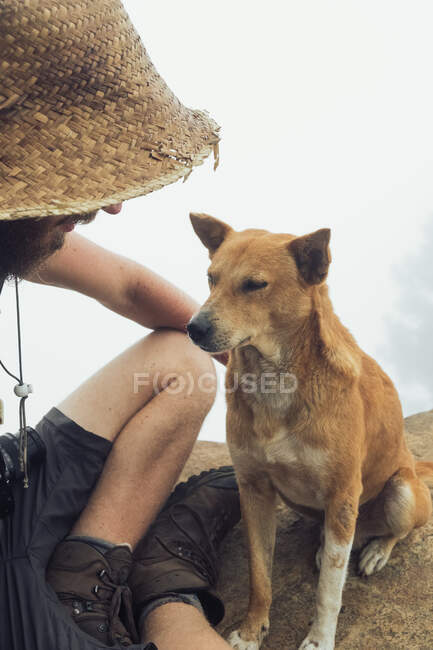 Ritagliato esploratore maschio irriconoscibile seduto sulla roccia in altopiani e accarezzare carino cane senzatetto contro il cielo nebbioso — Foto stock