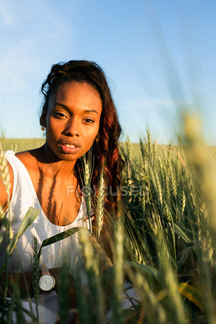 Jovem senhora preta em vestido de verão branco passeando no campo de trigo verde enquanto olha para a câmera durante o dia sob o céu azul — Fotografia de Stock