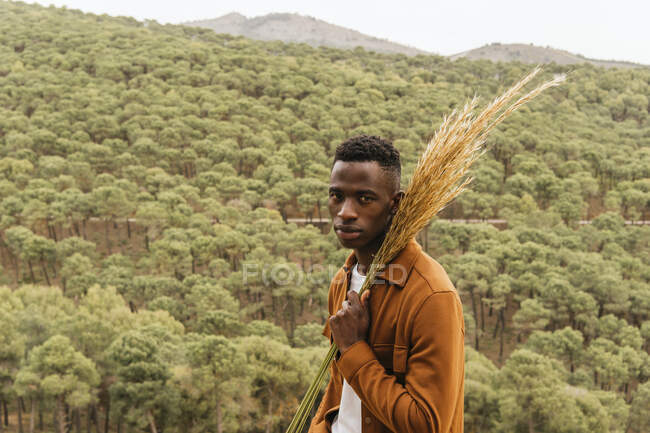 Varón afroamericano serio con racimo de trigo seco de pie en la naturaleza y mirando a la cámara - foto de stock