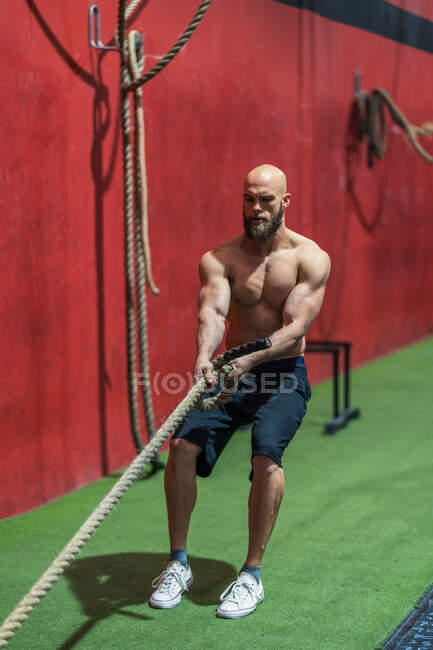 Fuerte deportista tirando de la cuerda con pesos pesados durante el entrenamiento intenso en el gimnasio contemporáneo - foto de stock