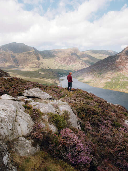 Vue arrière d'un mâle anonyme admirant les collines et la rivière tout en se tenant sur une pente rugueuse pendant le voyage à travers Snowdonia, campagne britannique — Photo de stock