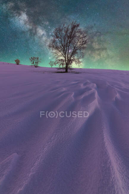 Paisagem espetacular com Via Láctea no colorido céu noturno acima do campo nevado refletindo luz roxa com árvores sem folhas — Fotografia de Stock