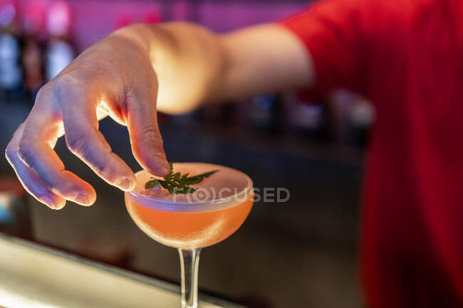 Crop anonymous male bartender decorating sour cocktail with green leaf served in glass goblet on counter in bar — Stock Photo