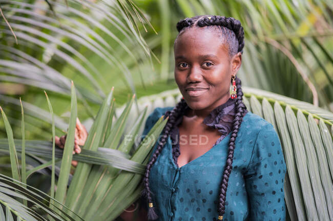 Elegante affascinante bella signora afroamericana con trecce africane guardando la fotocamera nel parco verde — Foto stock
