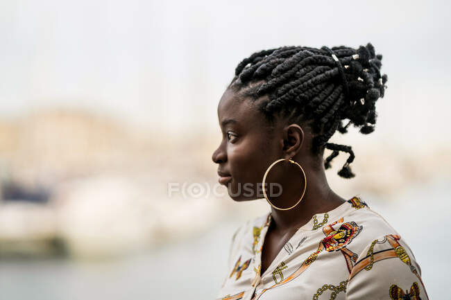 Vista lateral de elegante pensativo hermosa dama afroamericana con trenzas africanas seriamente mirando hacia otro lado en el parque - foto de stock