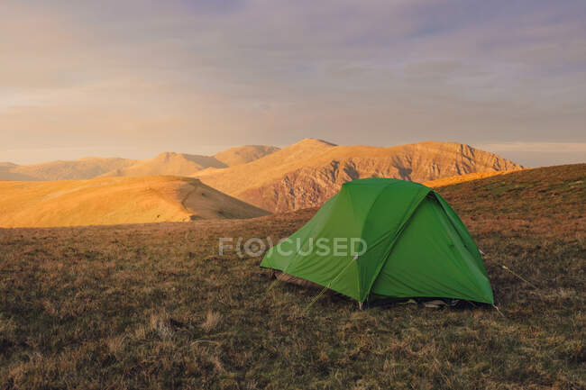 Tienda verde para acampar situada en una colina cubierta de hierba en las tierras altas al atardecer en Gales - foto de stock