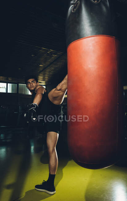 Joven centrado hombre asiático entrenamiento kick boxing realizar golpes patadas mientras se ejercita con saco de boxeo pesado en un gimnasio moderno - foto de stock