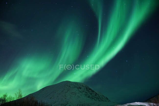 Spectaculaires aurores boréales vertes et roses à Tromso — Photo de stock