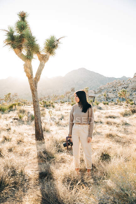 Longitud completa de la fotógrafa con cámara de pie en el desierto de la tierra del parque nacional contra el árbol verde Joshua en California, EE.UU. - foto de stock
