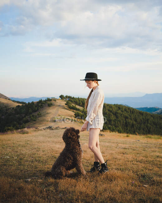 Vista lateral del propietario femenino con perro obediente Labradoodle de pie en las montañas - foto de stock