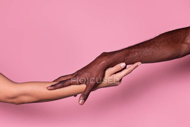 Багатоетнічні руки білої жінки та чорношкірого чоловіка, що торкаються один одного, ніжно ізольовані на рожевому фоні; концепція єдності та включення — стокове фото