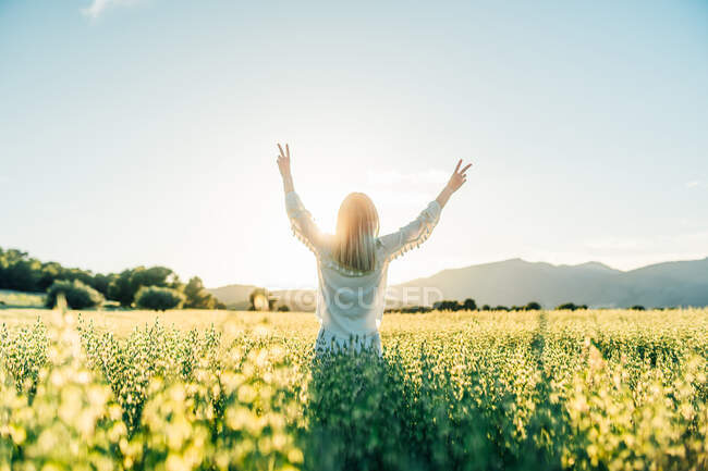 Обратный вид анонимной блондинки в белом платье, поднимающей руки, показывающей два пальца, стоя на огромном летнем поле с цветущей травой — стоковое фото