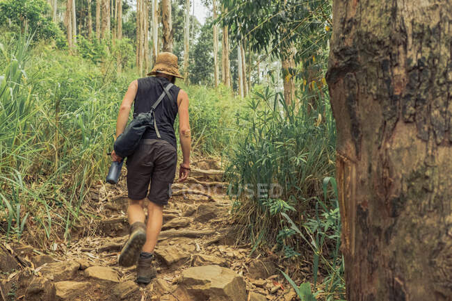 Back view of unrecognizable male traveler walking in misty exotic woods in summer during vacation — Stock Photo
