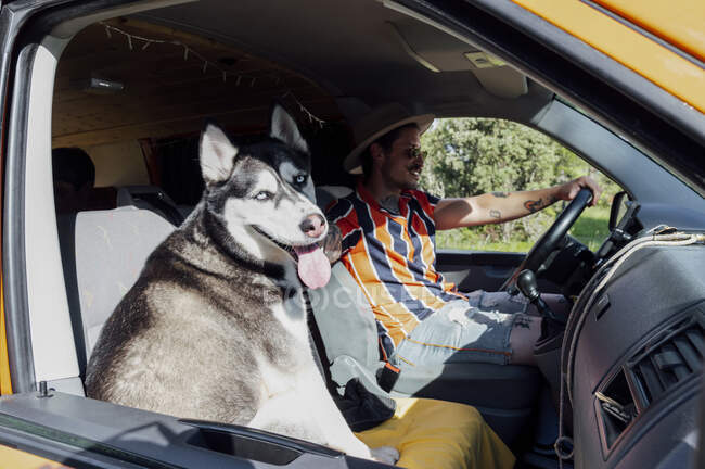 Alegre viajero masculino sentado en furgoneta con Husky dog y disfrutando de un viaje de verano juntos - foto de stock