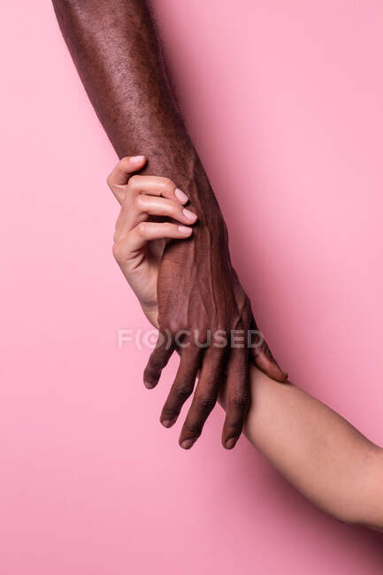 Многонациональные руки белой женщины и черного мужчины трогают друг друга нежно изолированы на розовом фоне; концепция единства и включения — стоковое фото