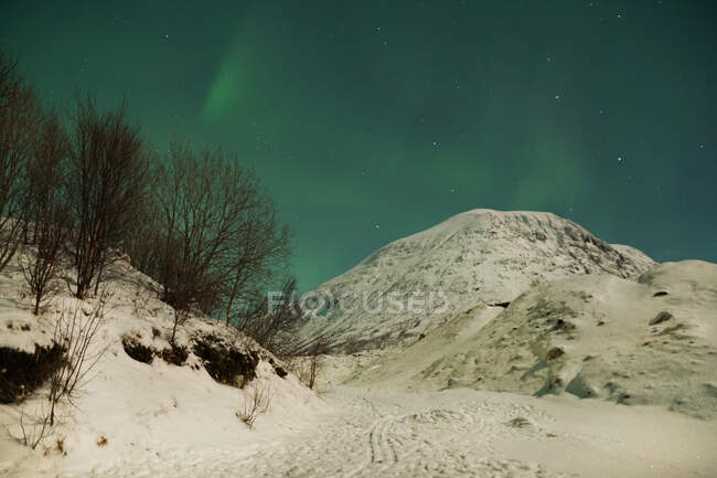 Spettacolari aurore boreali verdi e rosa a Tromso — Foto stock
