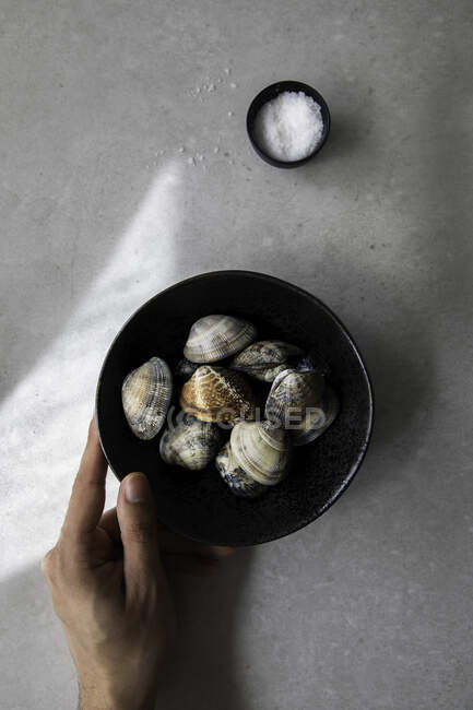 Top view of cropped unrecognizable person holding bowl with uncooked clams and salt placed on gray tabletop during food preparation — Stock Photo