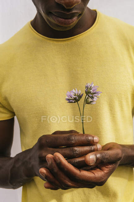 Обрезанный неузнаваемый афроамериканец с букетом полевых цветов, смотрящий в камеру на белом фоне — стоковое фото