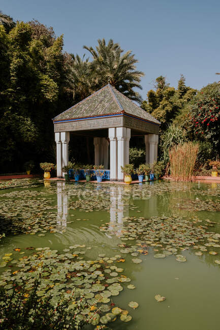 Gazebo ornemental situé près d'un étang calme avec des nénuphars par temps ensoleillé dans un jardin tropical à Marrakech, Maroc — Photo de stock