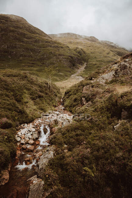 Pintoresca vista del agua burbujeante con rocas y helechos en el valle montañoso de Glencoe en Reino Unido en verano - foto de stock