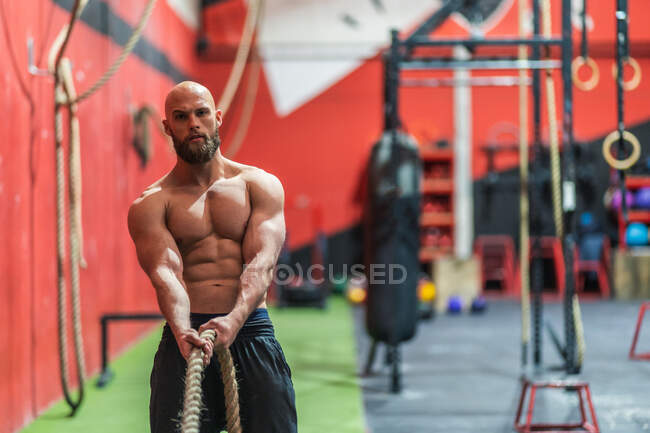 Сильний спортсмен тягне мотузку з важкими вагами під час інтенсивних тренувань у сучасному тренажерному залі — стокове фото