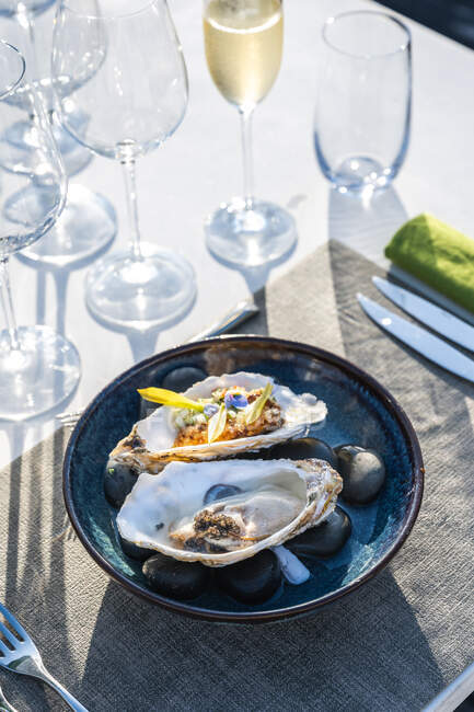 Prato de ostra delicioso e bem decorado emparelhado com champanhe no restaurante de alta cozinha ao ar livre — Fotografia de Stock