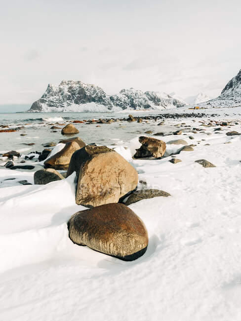 Boulders situés sur la côte enneigée blanche près de la mer et les montagnes sur la journée d'hiver grise sur les îles Lofoten, Norvège — Photo de stock