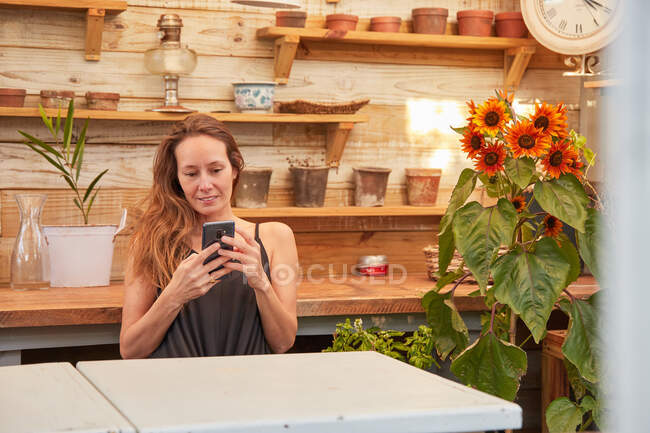 Jardinero femenino enfocado que navega el teléfono inteligente mientras que se sienta en la mesa de madera en invernadero y que trabaja - foto de stock
