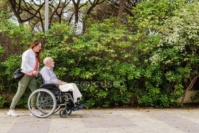 Side view adult daughter walking with aged father in wheelchair in green summer park — Stock Photo