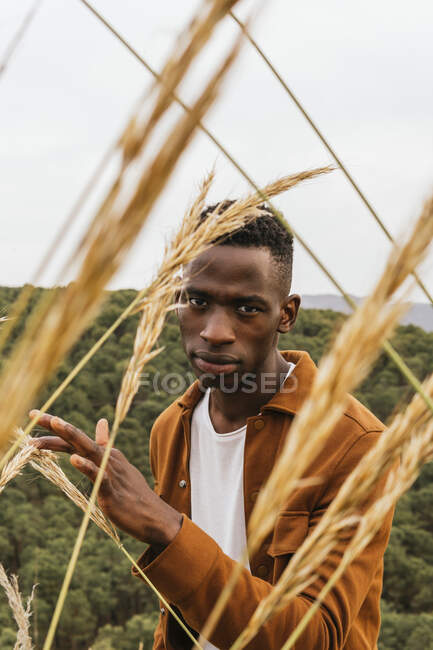 Beau mâle afro-américain debout dans un champ sec en été et regardant la caméra — Photo de stock