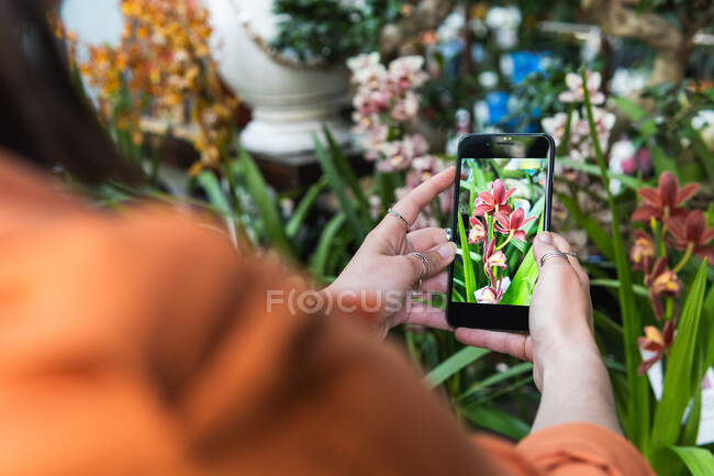 Cliente femenino positivo tomando fotos de flores en flor en el teléfono inteligente en el mercado de jardines - foto de stock