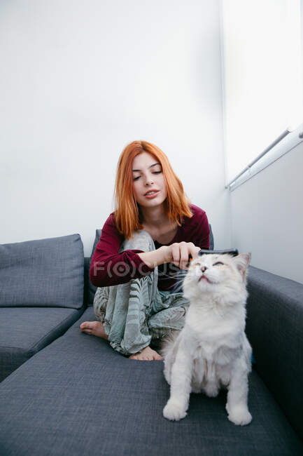 Junge Hündin mit roten Haaren kämmt flauschige weiße Katze, während sie sich auf Couch im Hauszimmer ausruht — Stockfoto