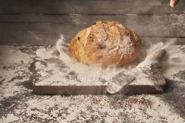 Appetizing aromatic freshly baked homemade bread with raisins placed on wooden board sprinkled with flour — Stock Photo